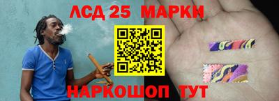 прущие грибы Конаково