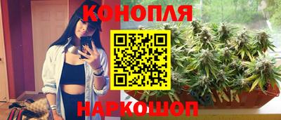 прущие грибы Конаково